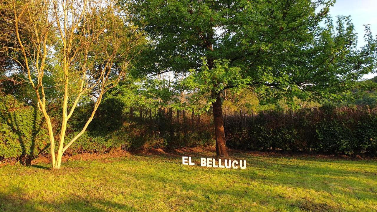 Casa Rural El Bellucu Onís Exteriér fotografie